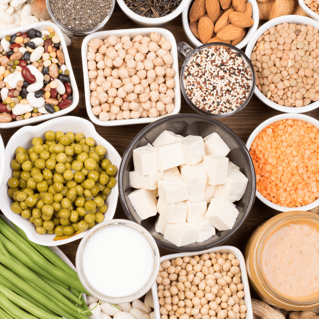 Protein and Healthy Fats Protein and Healthy Fats