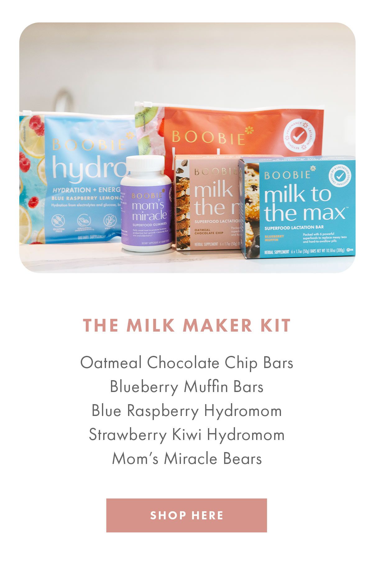 The milk maker kit