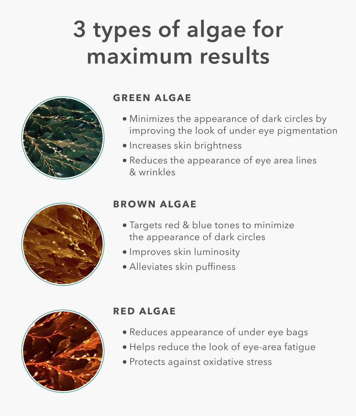 triple algae eye renewal balm